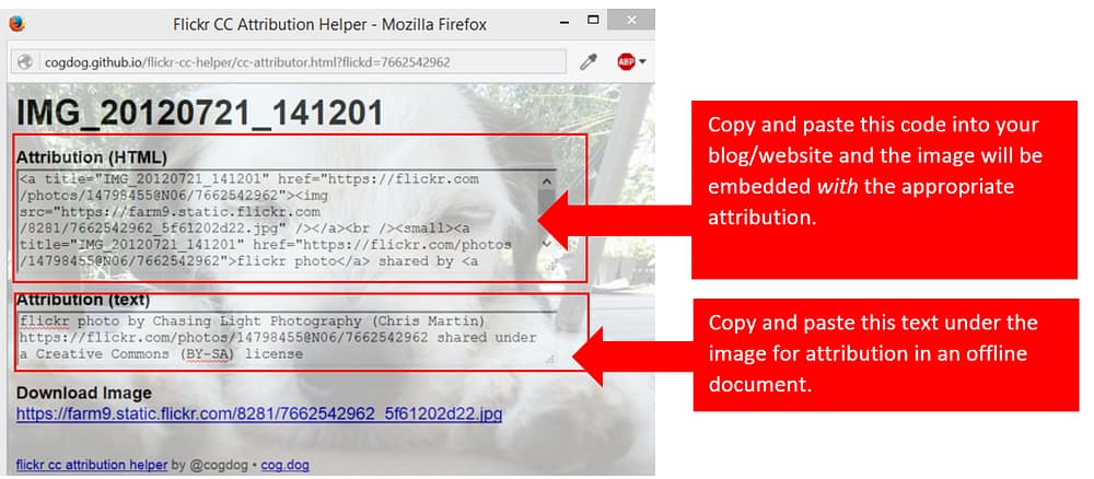 Screen capture created by author. Annotations added for clarity.